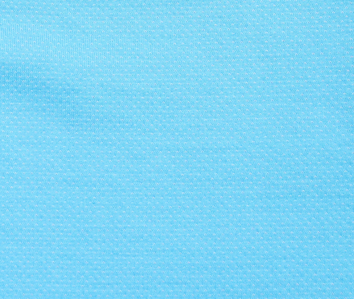 Aqua with Navy Collar
