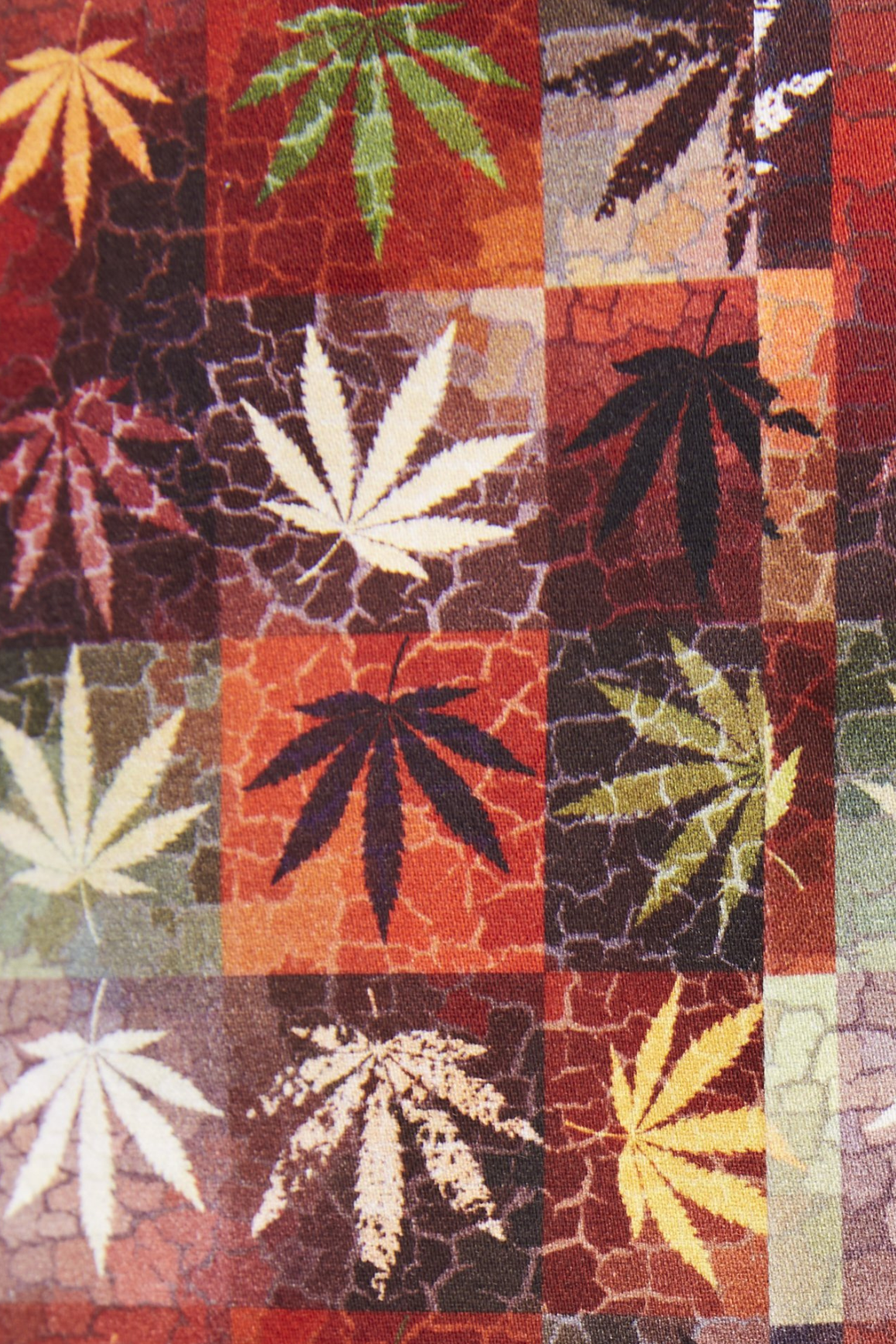 Boxes with Plant Leaves Shirt