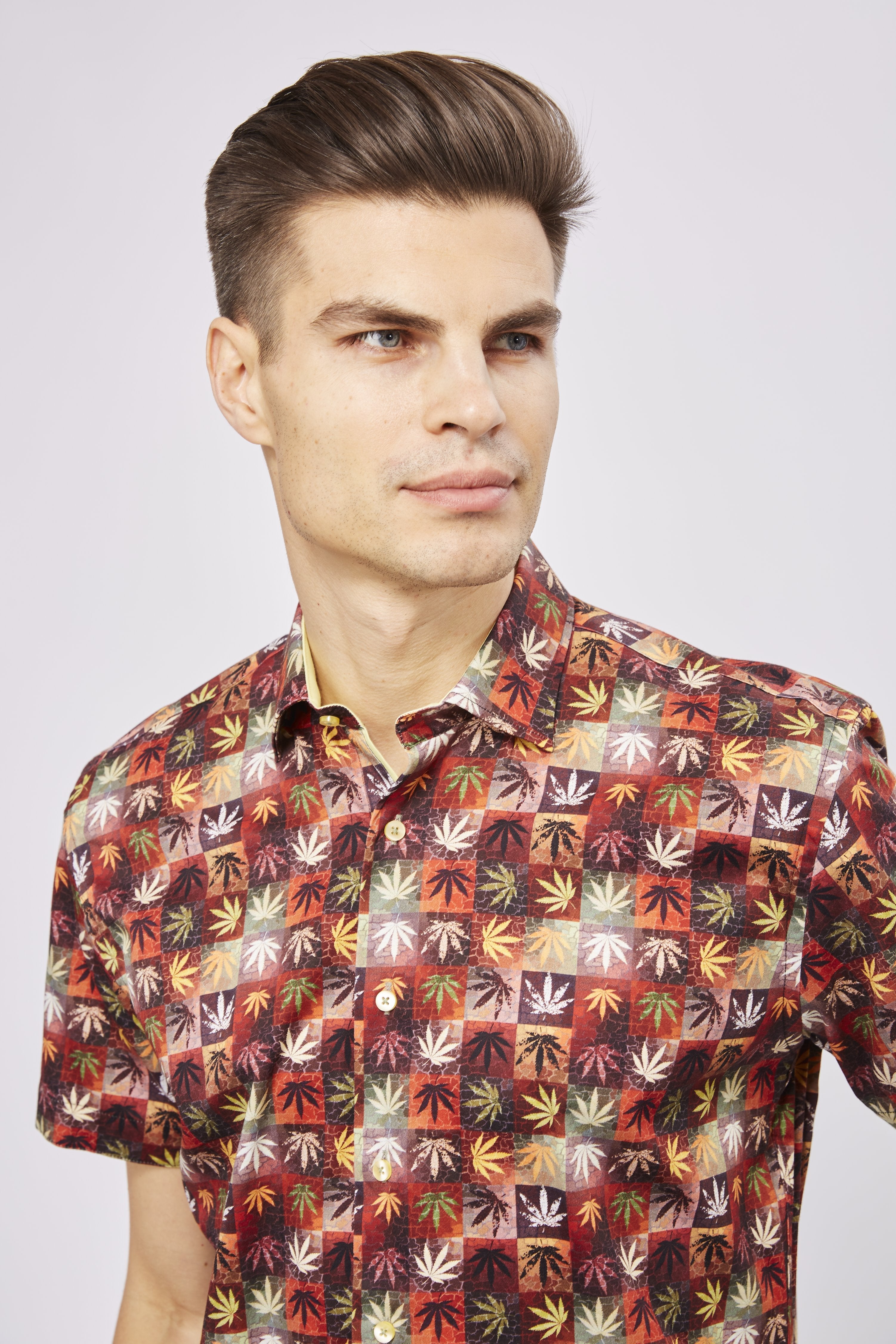 Boxes with Plant Leaves Shirt