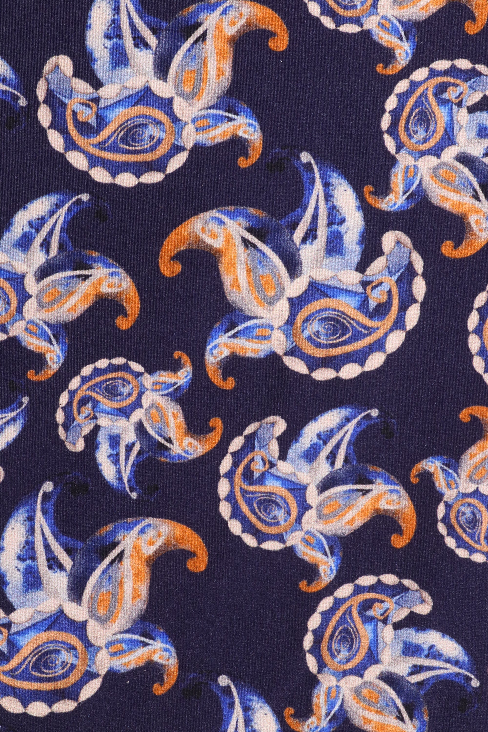 Navy with Paisley Shirt